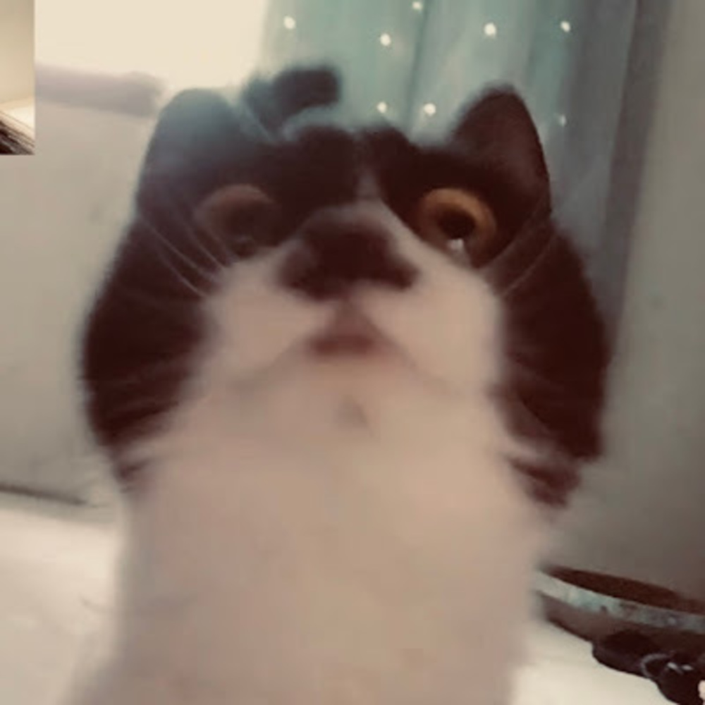 Meet your Posher, Su